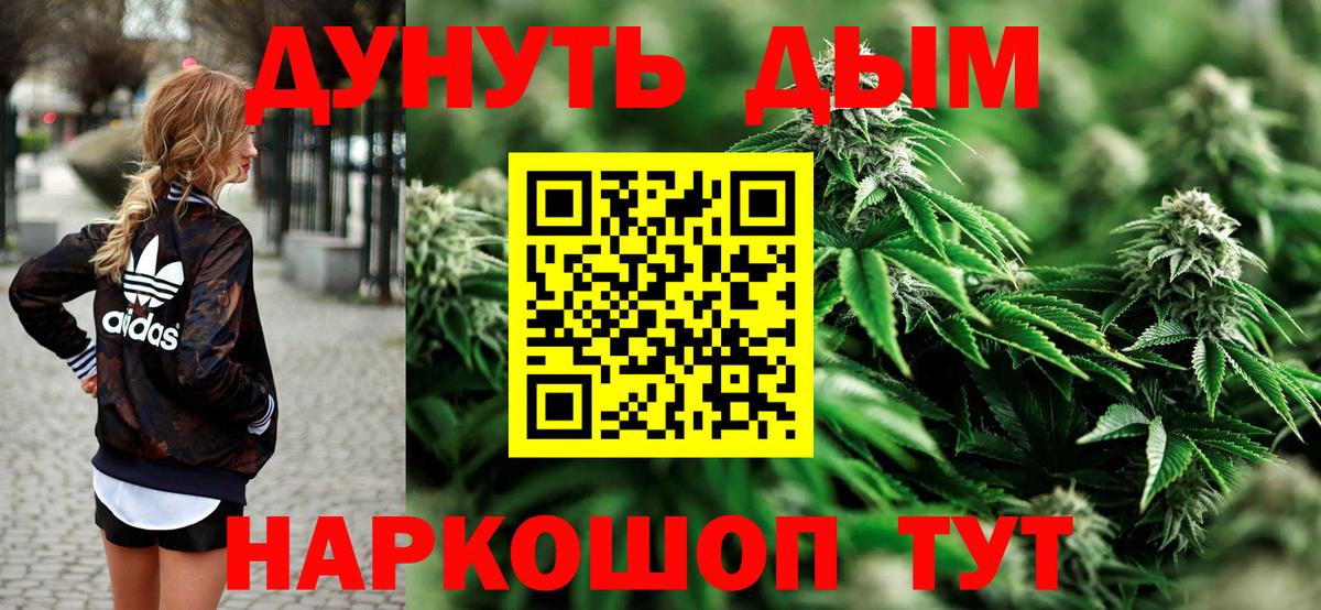 Конопля сатива Советская Гавань